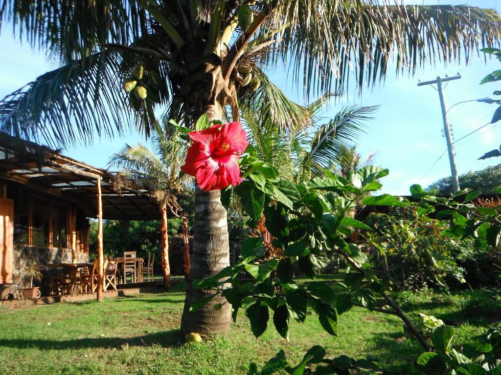 הוילה הנגה רואה Mamma Nui Glamping מראה חיצוני תמונה